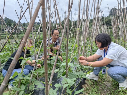 习水农检中心 农产品质量快速检测 守护 菜篮子 安全