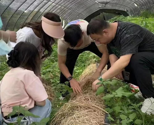 华东交通大学 锚定乡村振兴主线 推动调查研究成果落地生根