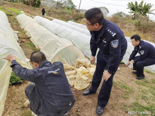 禁种铲毒不止步,全面踏查守净土