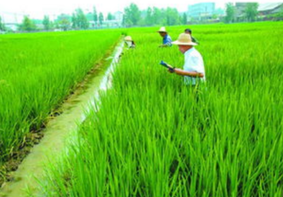 农艺师证书申报条件,在哪报名
