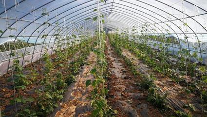 驻村工作队四年坚守战脱贫