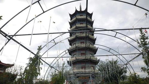 新乡贤携子女归乡，共绘有机食品发展蓝图