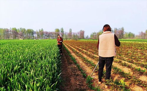 农业新变化 2022年种植粮食才是明智之举，专家列举3个理由