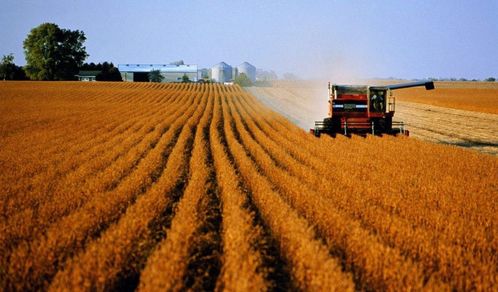 农业农村部数字农业试点与有机食品开发申报条件解析