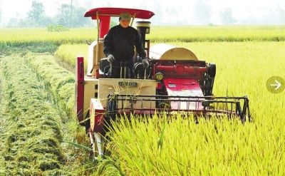 河南秋作物喜获丰收,有机食品开发迎来新机遇