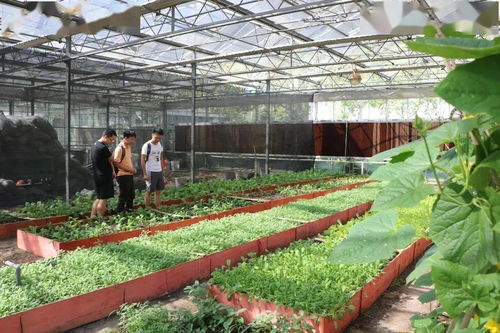 河风海韵下,与农业科学与工程学院共谱有机食品开发新篇章