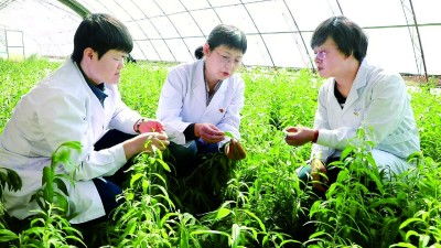 走,把科技成果 种 到田间地头 宁夏加速科技成果转化赋能现代农业高质量发展