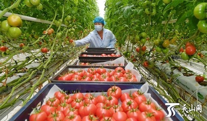 石榴快评丨“网红”变“长红”需做好品牌保护